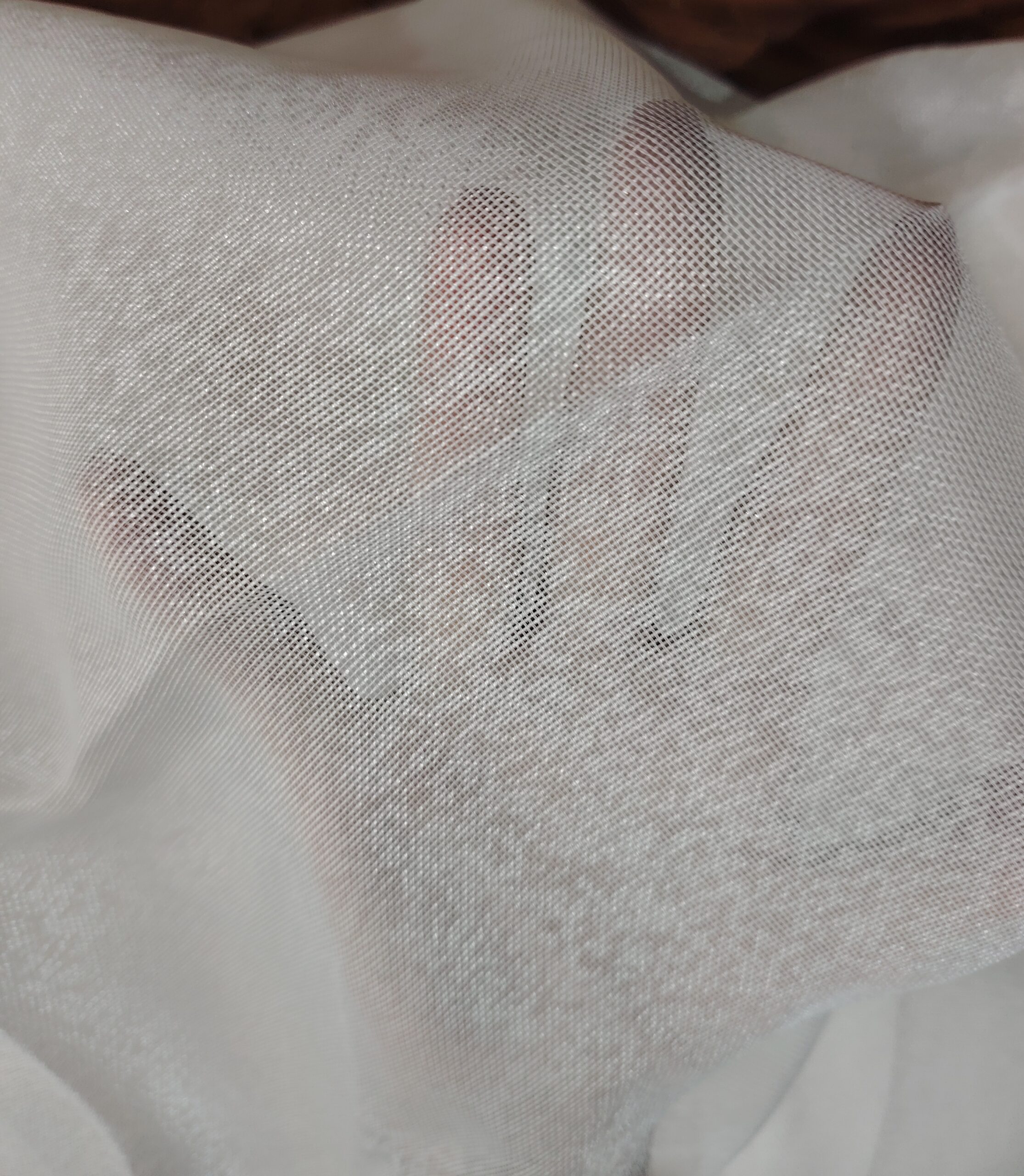 IMG_20250304_084037_edit_192706561459298