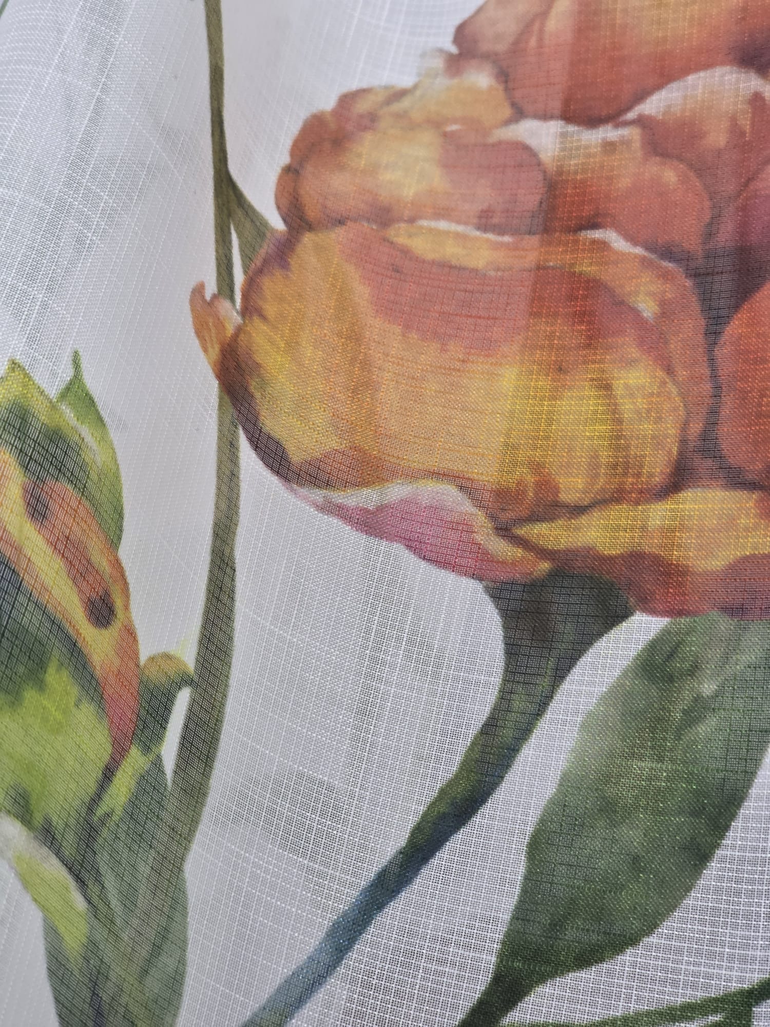 WhatsApp Image 2025-10-22 at 13.06.19