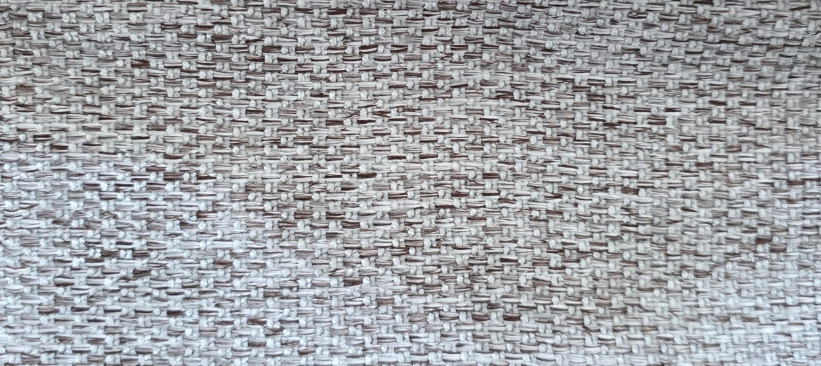 WhatsApp Image 2026-02-12 at 09.26.19