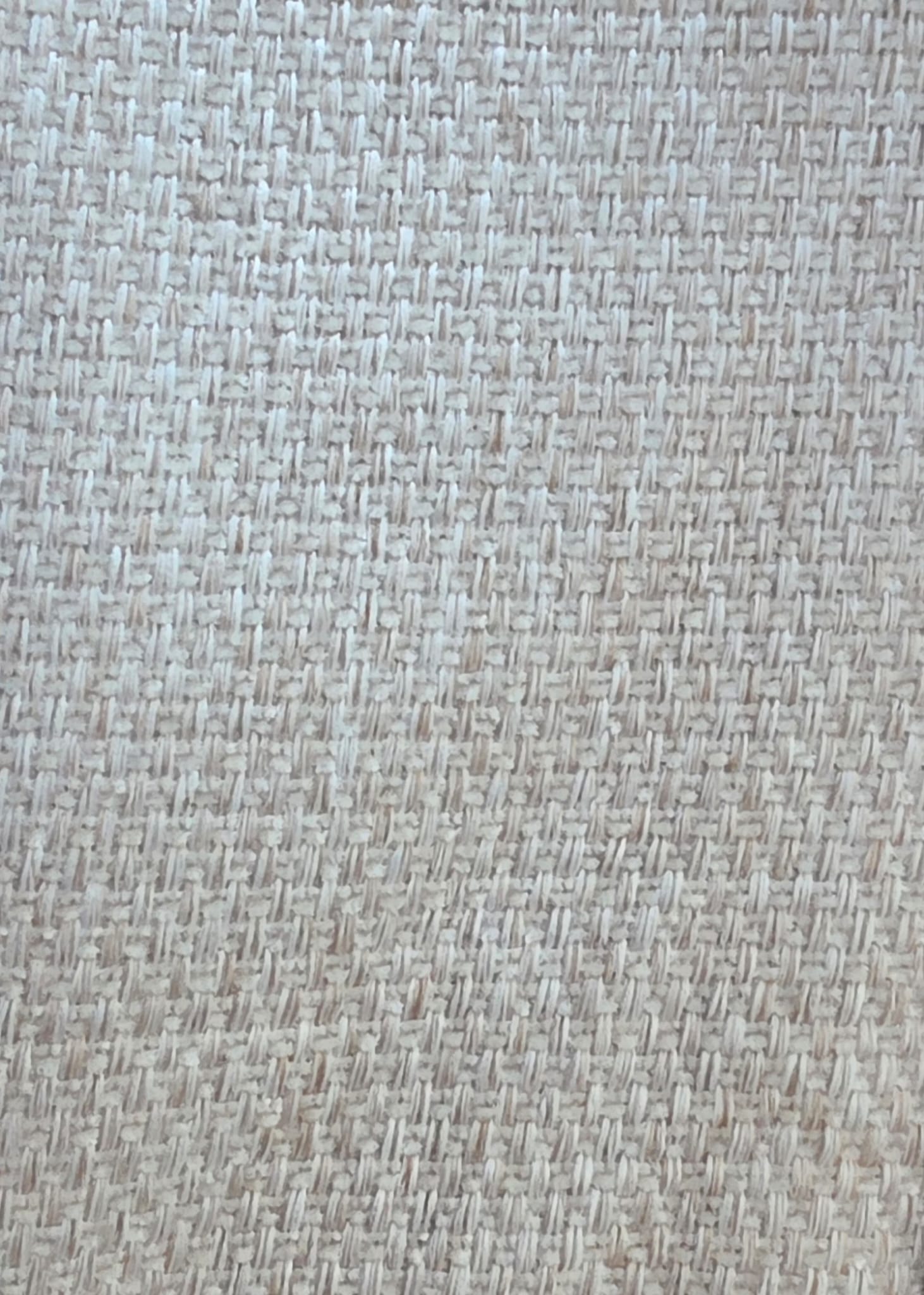 WhatsApp Image 2026-02-12 at 09.36.28