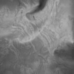 Draperie Lyon Luxury din Catifea cu Insertii   Blackout 70 % Gri - imagine 3